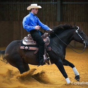 equine event photography at the garden of england circuit in Bodiham