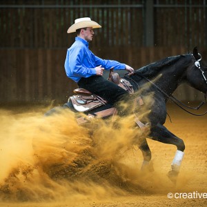 equine event photography at the garden of england circuit in Bodiham