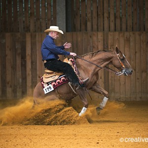 equine event photography at the garden of england circuit in Bodiham