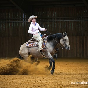 equine event photography at the garden of england circuit in Bodiham