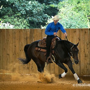 equine event photography at the garden of england circuit in Bodiham