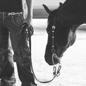 equine event photography at the garden of england circuit in Bodiham