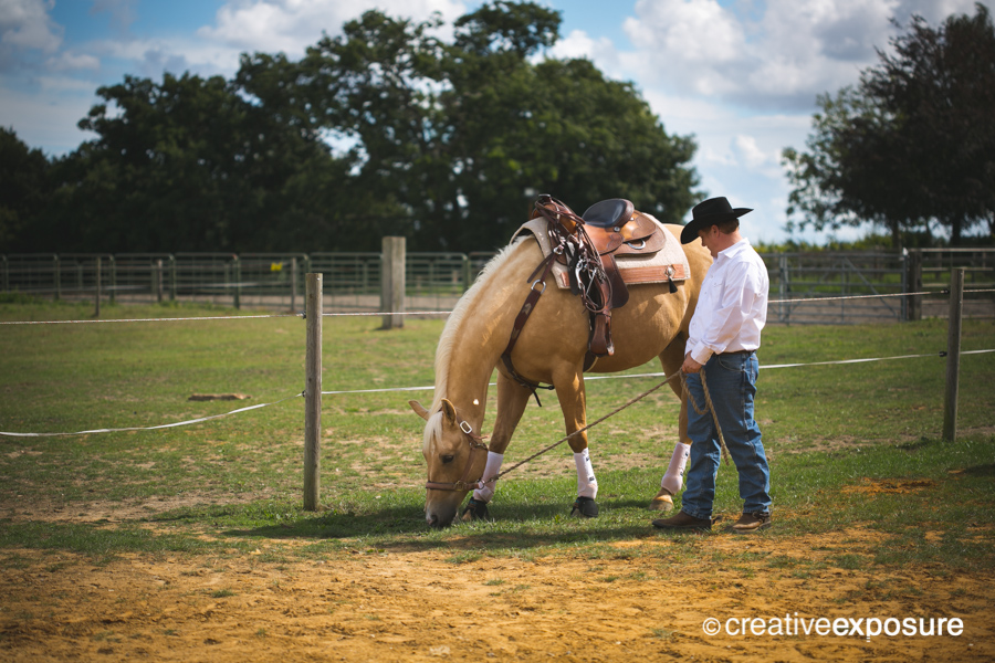 Western Equine Photography