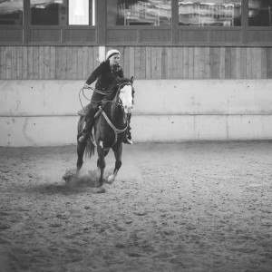 equine event photography at the garden of england circuit in Bodiham